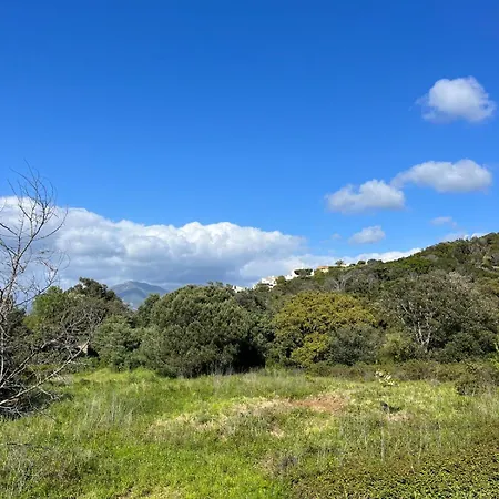 Magnifique! Ideal! *