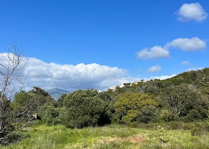 Magnifique! Ideal! *